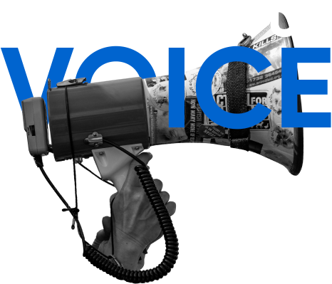 voice-img